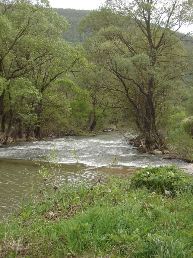 The Nishava before Kalotina in Bulgaria