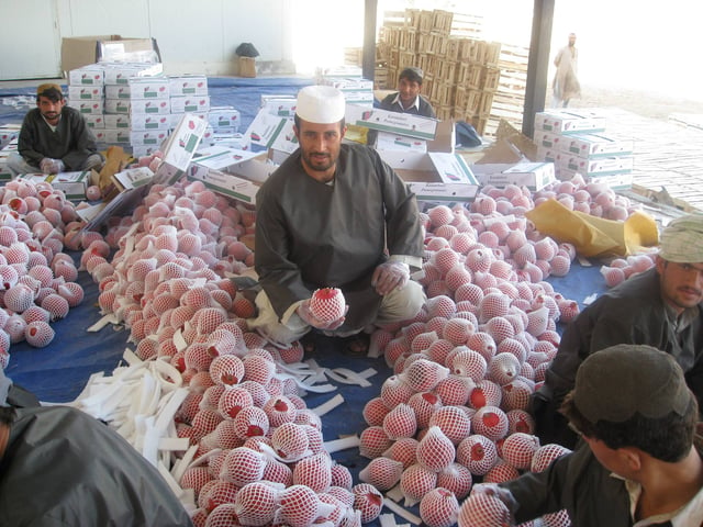 Workers processing pomegranates (anaar), which Afghanistan is famous for in Asia