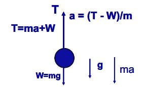 Free body diagram of a wire pulling on a mass with weight W, showing the d’Alembert inertia “force” ma.