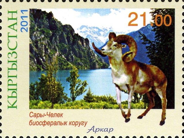 Urial on a Kyrgyzstan stamp