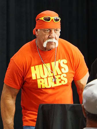 Hogan in 2015