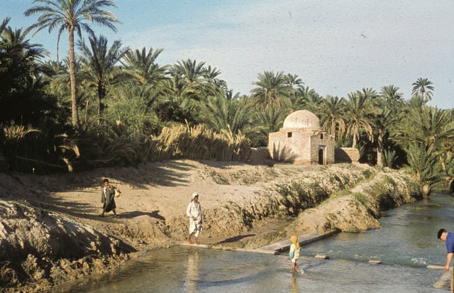Thousands of people in North Africa depend on date palm trees for a living. Tunisia in 1960