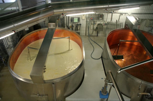 During industrial production of Emmental cheese, the as-yet-undrained curd is broken by rotating mixers.