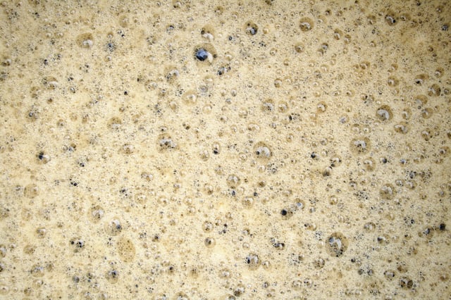 Bubbles of carbon dioxide forming during beer-brewing
