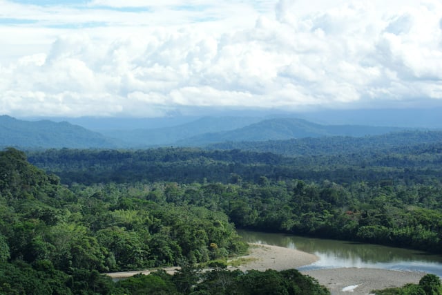 Amazon rainforest in Ecuador