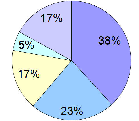 Estimate of languages spoken at home (Capital Region, 2013)  French  Dutch and French  Dutch  French and other language  Neither Dutch nor French