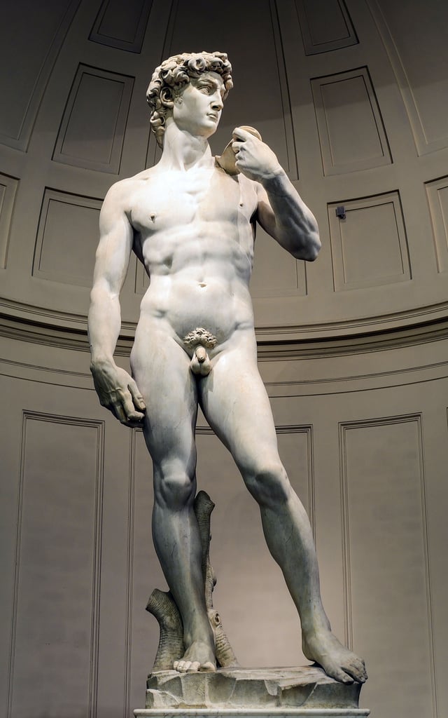 Michelangelo's David (1501–1504), Galleria dell'Accademia, Florence