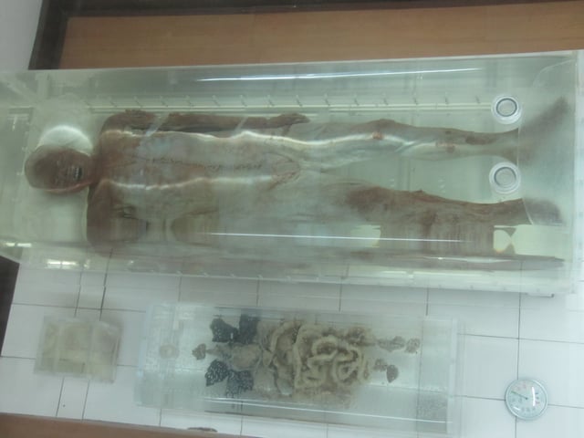 Mummy in the history museum of Jingzhou