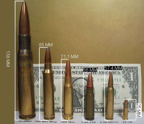 5.56mm NATO shown alongside other cartridges and a United States $1 bill