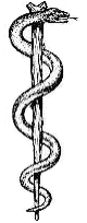 Rod of Asclepius, in which the snake, through ecdysis, symbolizes healing.