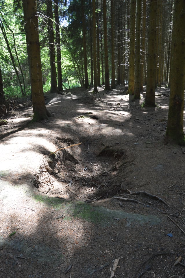 One of the still existing foxholes in the Jacques Woods, occupied by E Company in December 1944 and January 1945