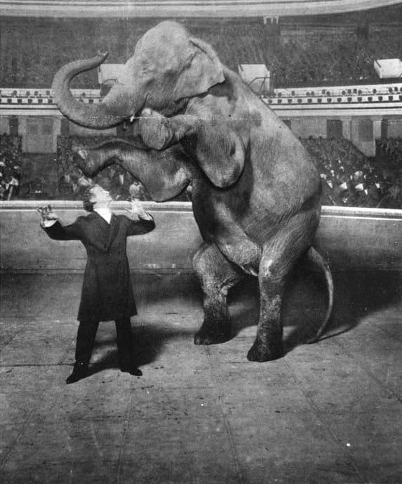 Houdini and Jennie, the Vanishing Elephant, January 7, 1918