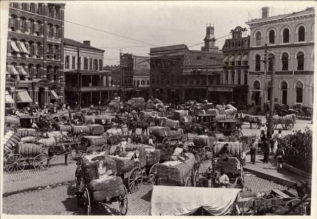 Cotton being brought to market, Montgomery, c. 1900