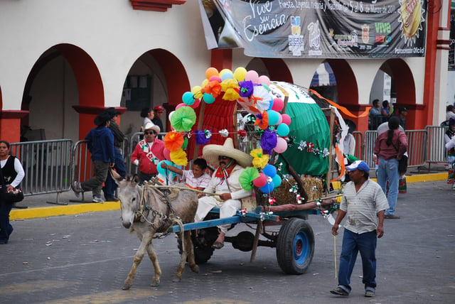 A burro pulling a cart during the Carnival of Huejotzingo