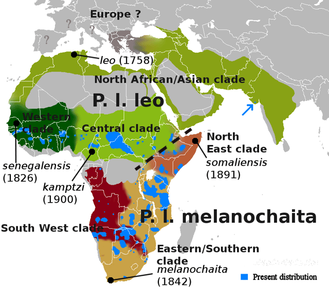 Range map showing distribution of subspecies and clades