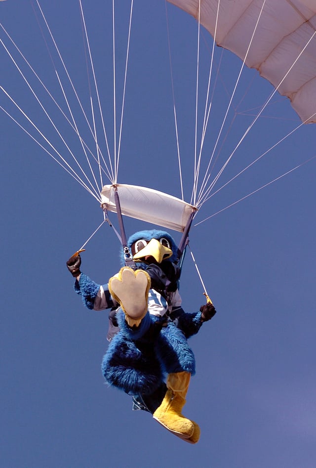 United States Air Force Academy Mascot