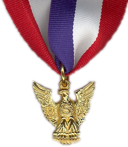 The Distinguished Eagle Scout award