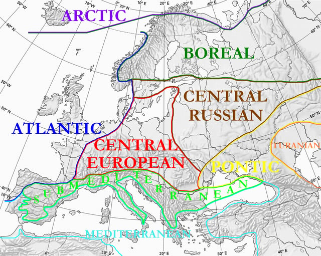 The European floristic regions