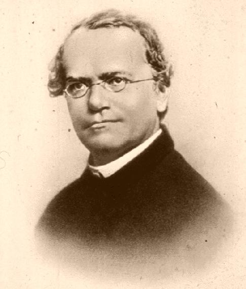 Gregor Mendel, founder of genetics
