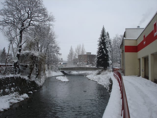 Bóbr in Kamienna Góra