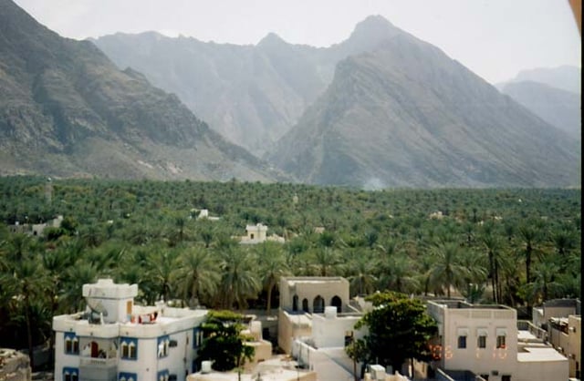 Nakhal palm tree farms in Oman's Batina Region