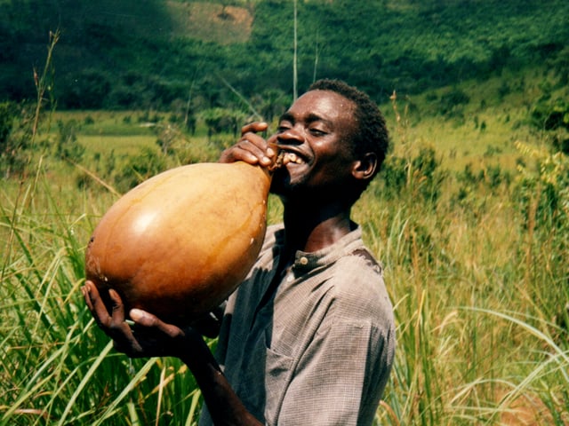Bottle gourd or calabash used to contain palm wine in Bandundu Province, Democratic Republic of the Congo
