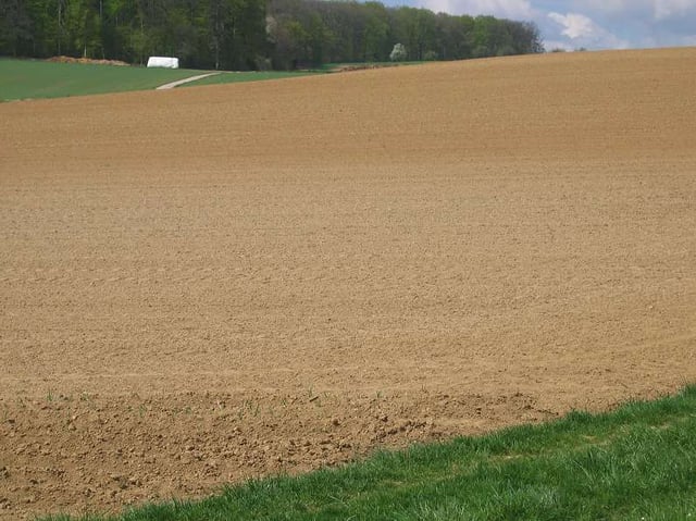 Loess field in Germany.