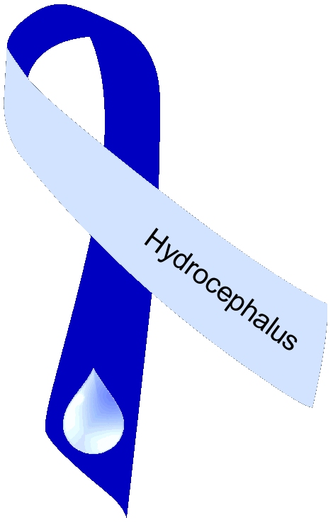 Hydrocephalus awareness ribbon