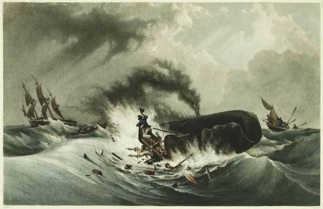 Depiction of baleen whaling, 1840