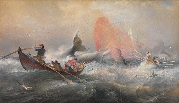 Whalers off Twofold Bay, New South Wales. Watercolour by Oswald Brierly, 1867