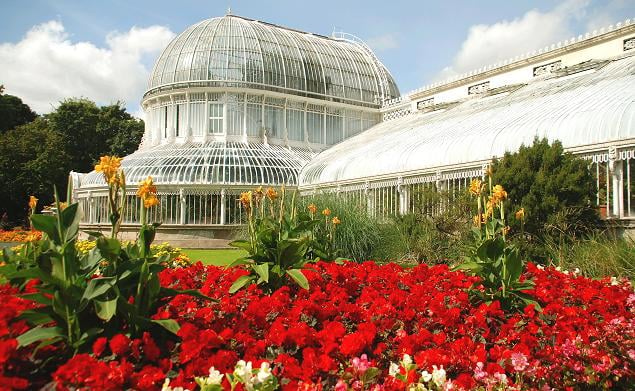 The Palm House at the Botanic Gardens