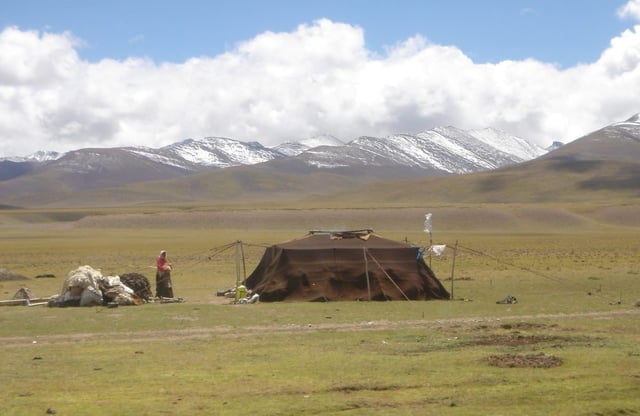 Pastoral nomads constitute about 40% of the ethnic Tibetan population.
