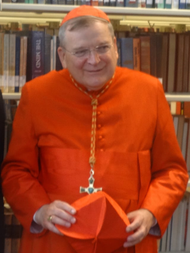 Cardinal Raymond Burke, Patron of the Sovereign Military Order of Malta since 2014