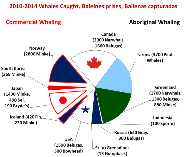 Whales caught 2010-2014, by country