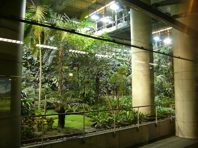 The exotic garden in Gare de Lyon.