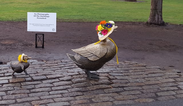 An April Fools' Day prank in Boston's Public Garden warning people not to photograph sculptures.