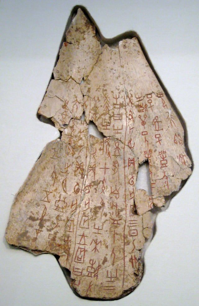 Ox scapula with oracle bone inscription