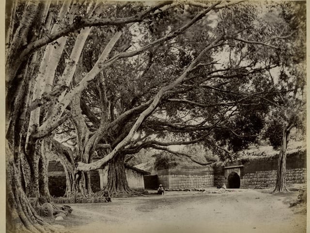 The spot where Sultan died (1880s)