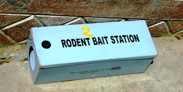 Rodent Bait Station, Chennai, India