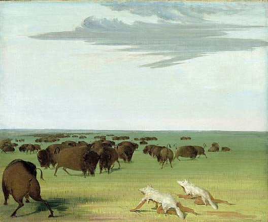 Buffalo hunt under the wolf-skin mask, George Catlin, 1832–33.