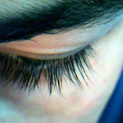 Eyelashes and eyebrows help to protect the eyes from dust, dirt, and sweat.