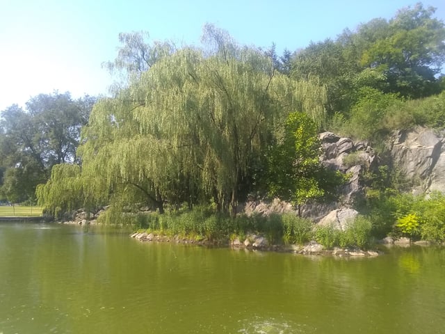 Pond at the site of the unbuilt Columbia recreation facility