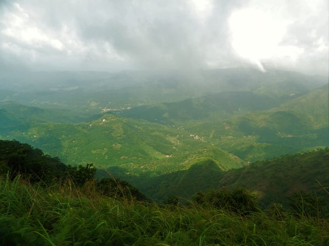 Cardamom Hills, Southern Western ghats, Near Thekkady in Kerala