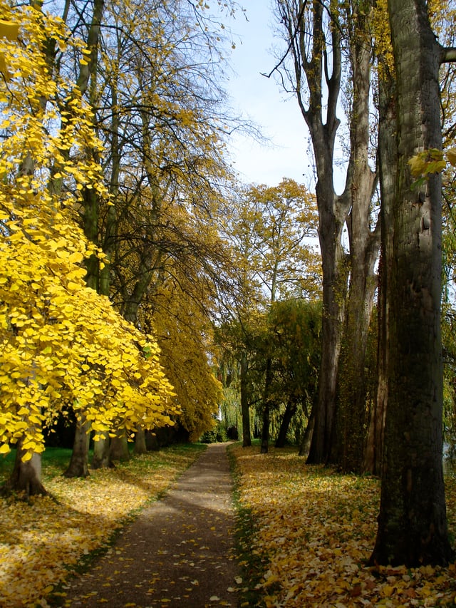 Fellows' Garden Path in autumn