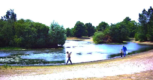 Pond on Mitcham Common