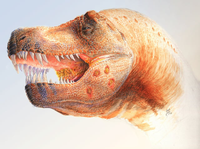 Restoration of a Tyrannosaurus with holes possibly caused by a Trichomonas