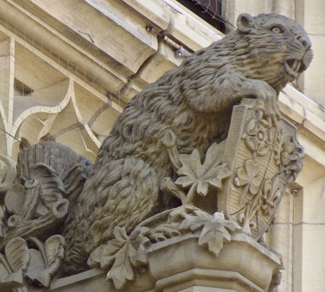 The mother beaver on the Canadian parliament's Peace Tower. The five flowers on the shield each represent an ethnicity—Tudor rose: English; Fleur de lis: French; thistle: Scottish; shamrock: Irish; and leek: Welsh.