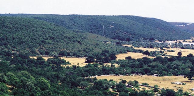 Landscape of the Murge plateau