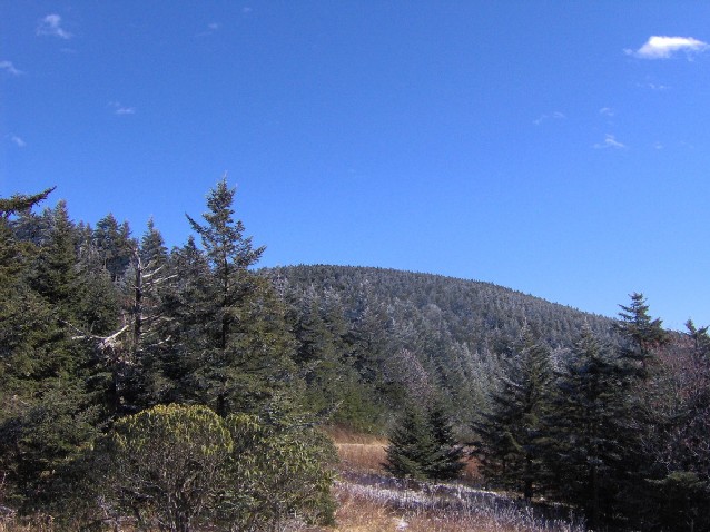 Roan High Knob, looking east from Tollhouse Gap.