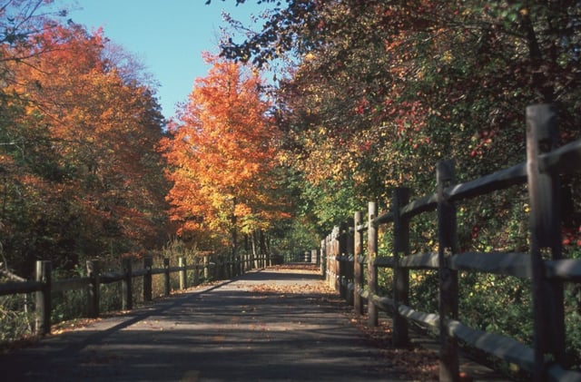The Blackstone River Greenway in autumn, approximately one mile (1.6 km) south of the Martin St. Bridge